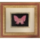 Pink butterfly